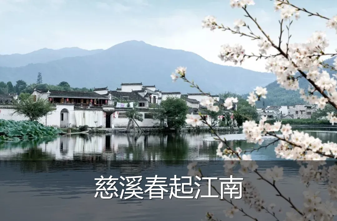 慈溪春起江南